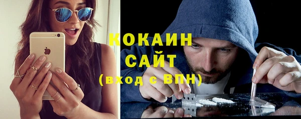 индика Красноперекопск